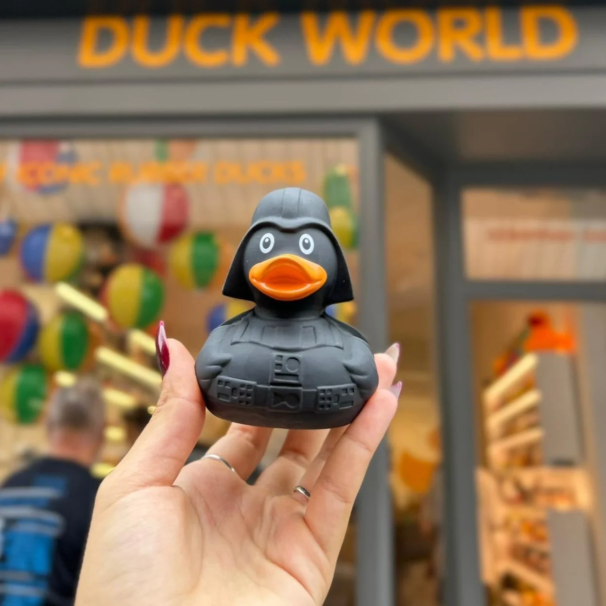 Black Star Duck - Image 3