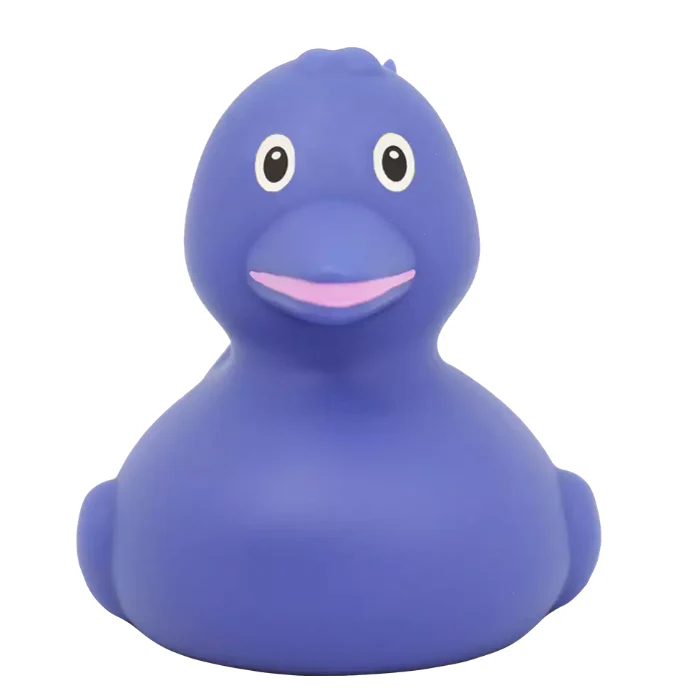 Dolphin Duck - Image 4