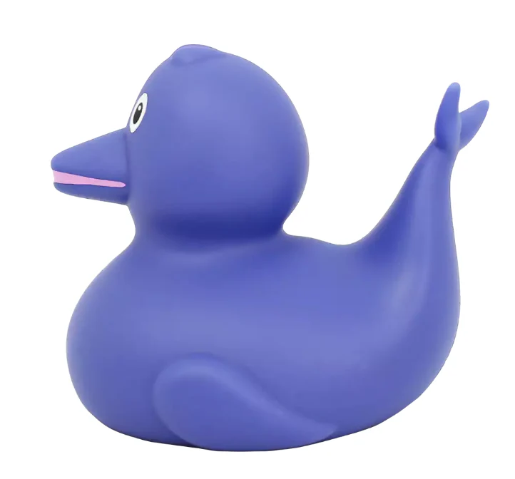 Dolphin Duck - Image 5