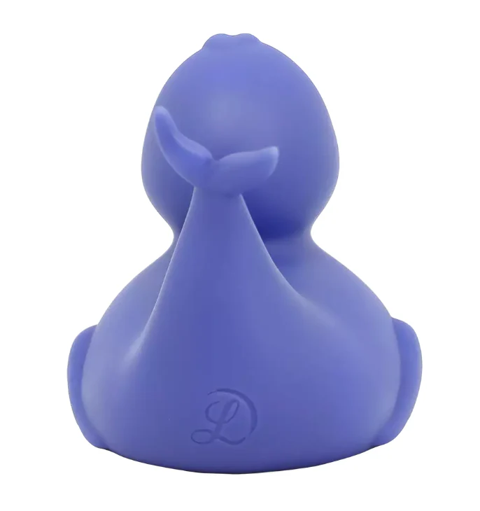 Dolphin Duck - Image 6
