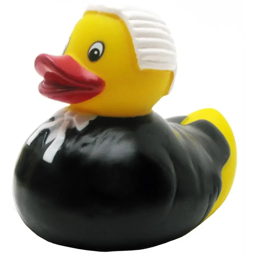 Lawyer Duck - Image 2