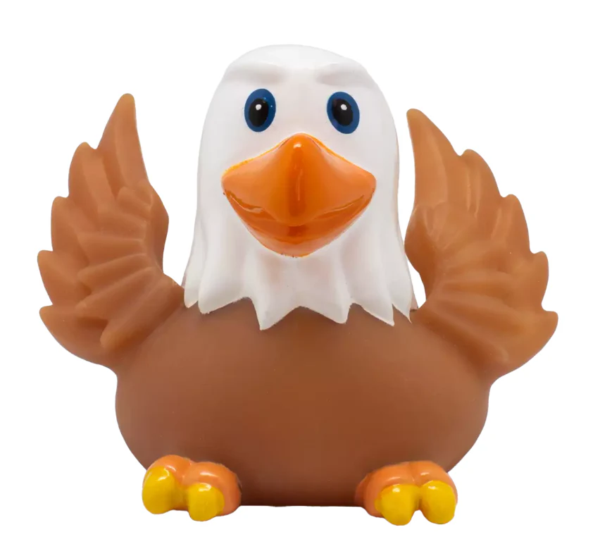 Eagle Duck - Image 3