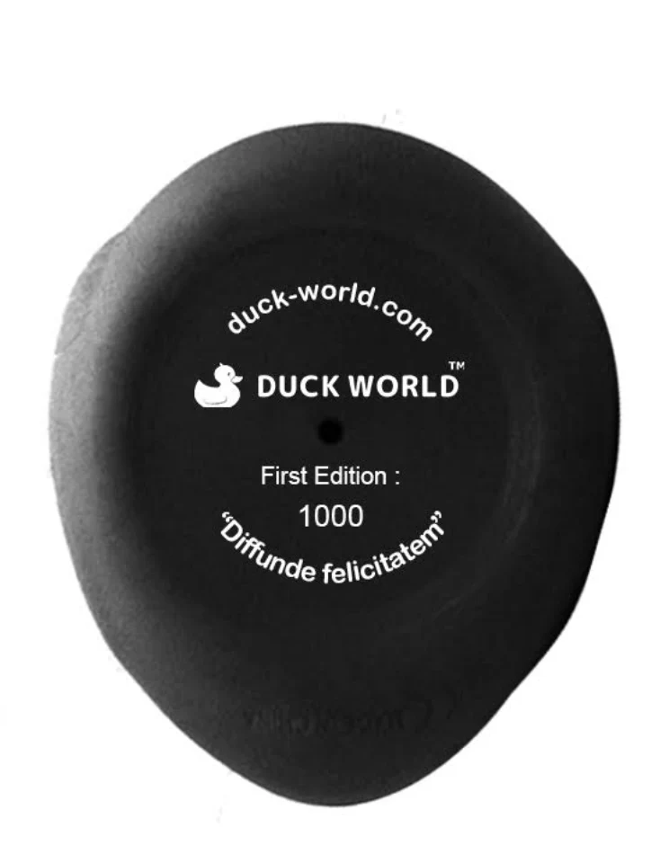 Old Wizard Duck - Image 6