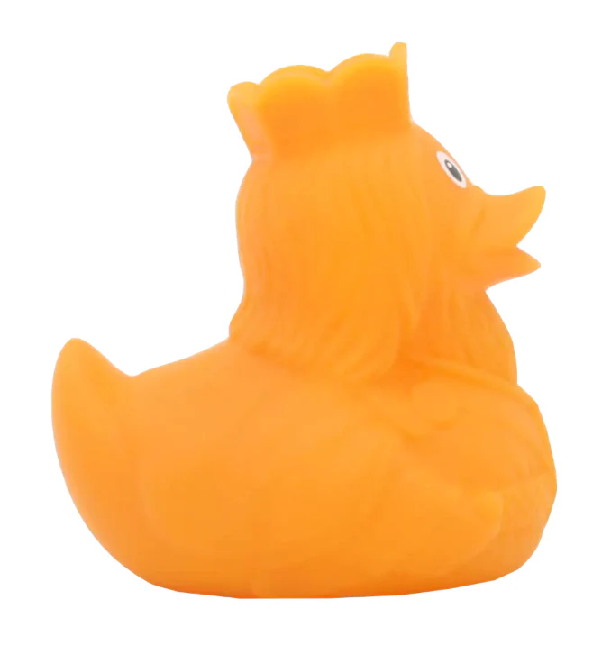 King Carlo Duck - Image 7