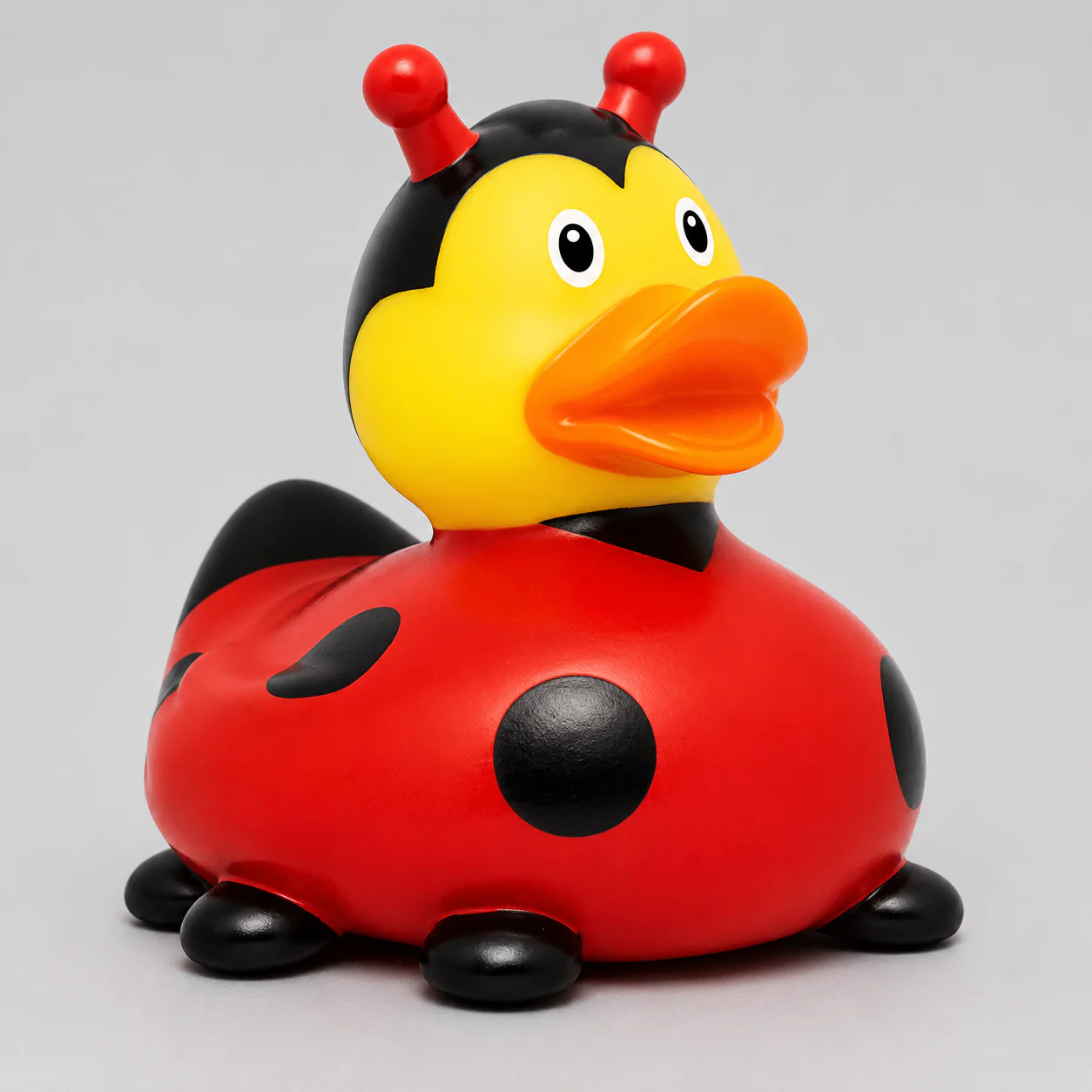 Ladybug Duck