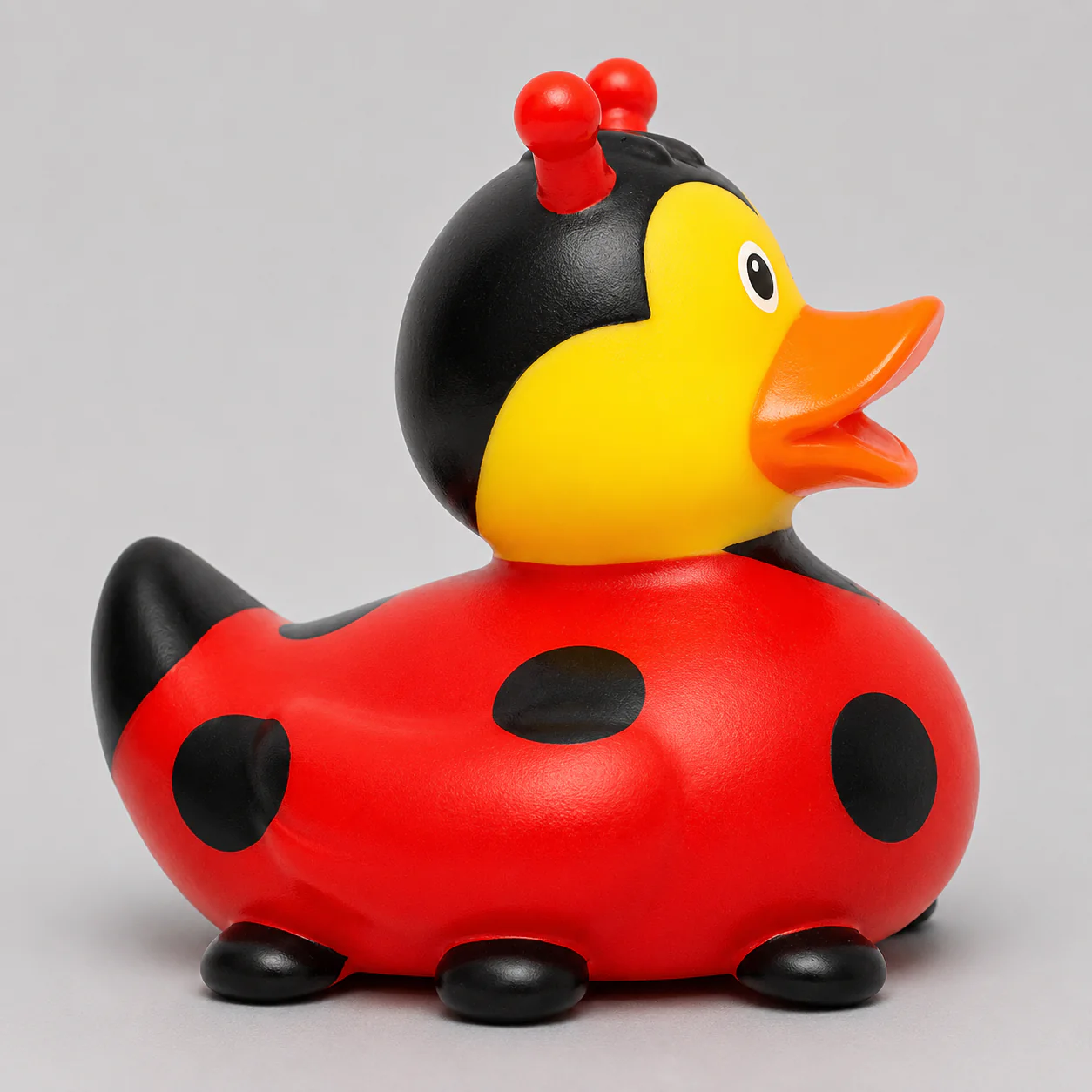 Ladybug Duck - Image 4