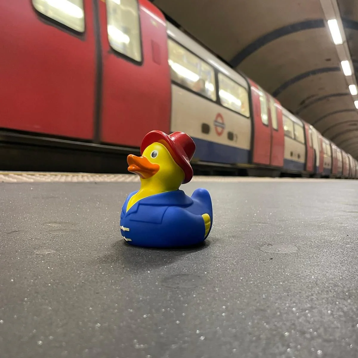 Puddleton Duck