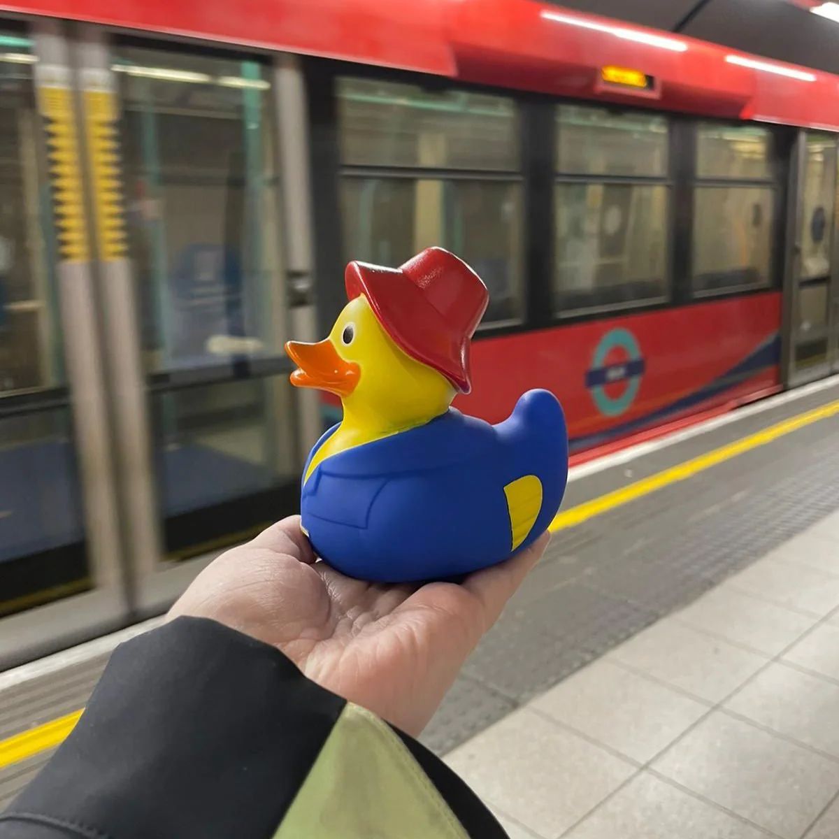 Puddleton Duck - Image 2