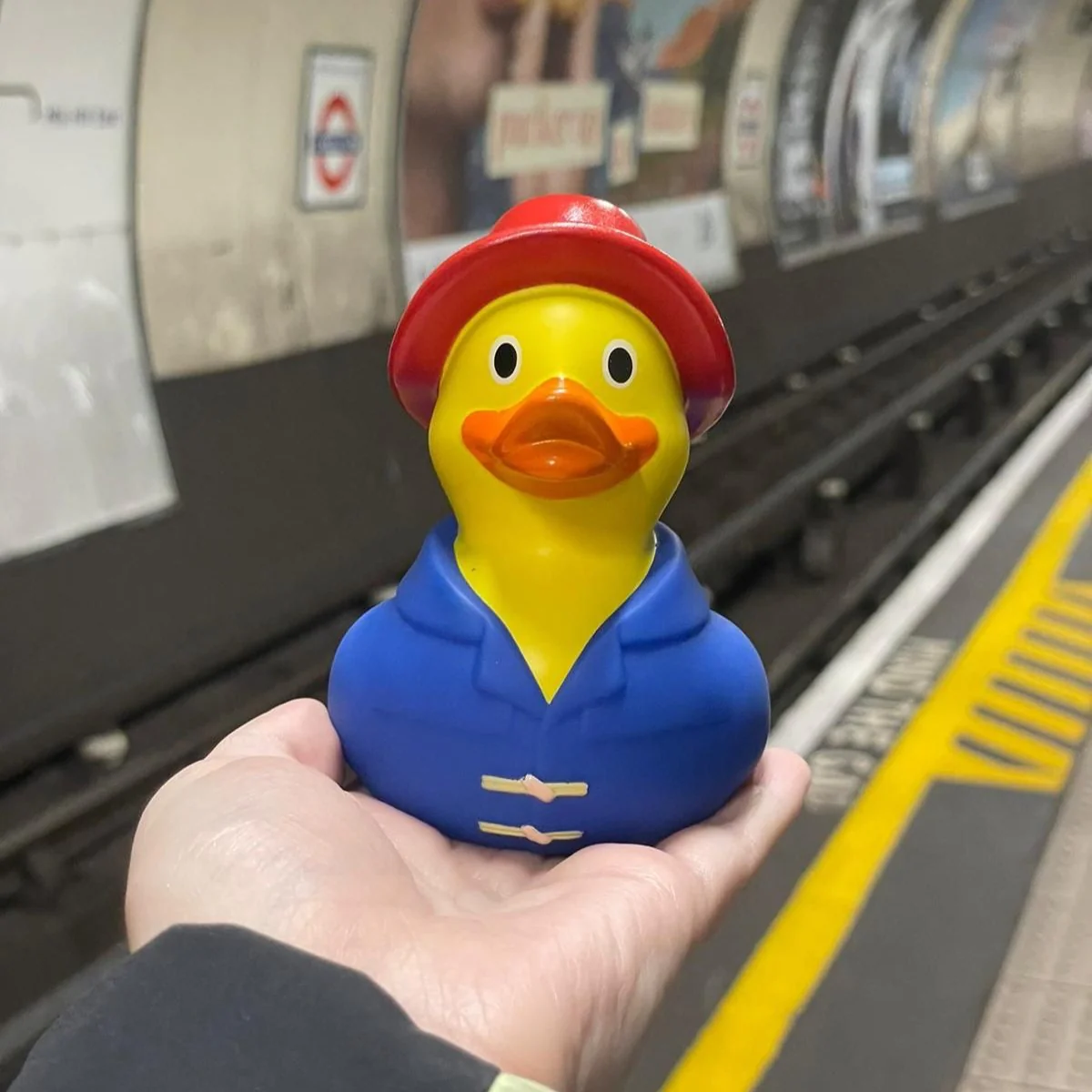 Puddleton Duck - Image 3