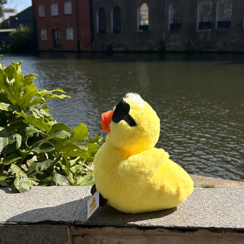 Quackva Plushie - Image 4